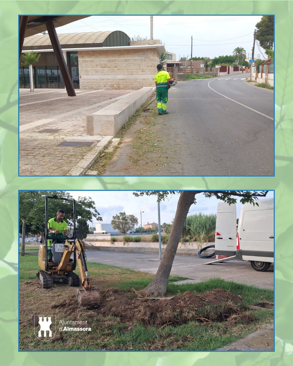 ajalmassora's tweet photo. 🌿🌳 Seguimos cuidando los espacios verdes de Almassora para que luzcan en las mejores condiciones.
#Almassora #ZonasVerdes #ServiciosPúblicosAlmassora
—-
🌿🌳 Continuem cuidant els espais verds d'Almassora perquè lluïsquen en les millors condicions. https://t.co/tLnteTNGKB
