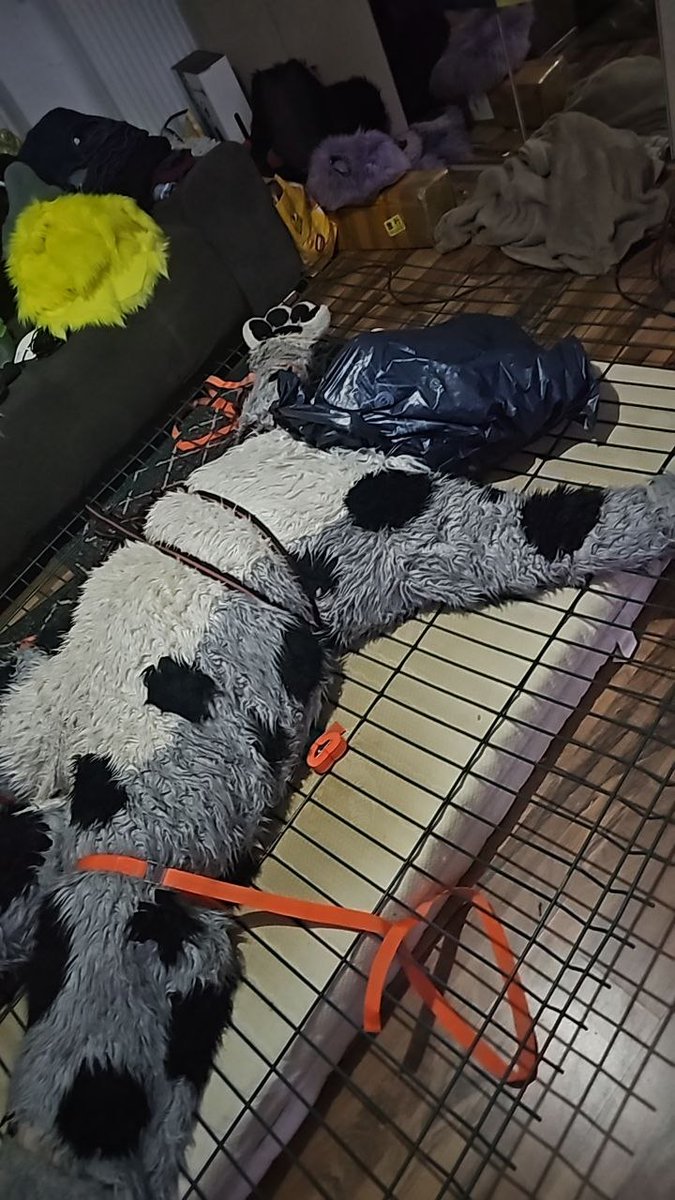 AkiraSwoops's tweet photo. My bf's POV from last saturday evening ...
Gasping for air in bondage - impossible to escape 😈
#murrsuit #fursuitbondage #breathplay #breathcontrol #bondagebreathplay #noair #fursuitbreathplay #fursuitbreathcontrol #murrsuitbondage #murrsuitbreathplay #murrsuitbreathcontrol https://t.co/WYubaicpo1