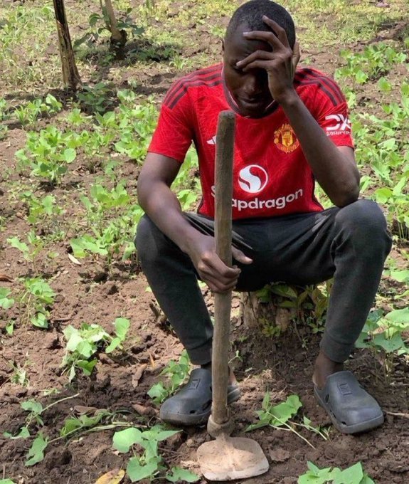 danstones14's tweet photo. When you are weeding and you remember you have CGPA of 4.8 https://t.co/oUXhZ4ak2f