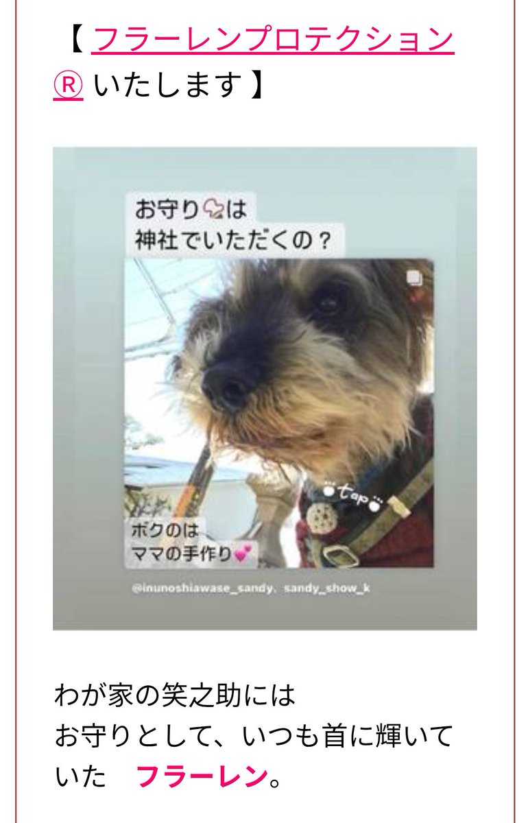 sandy_show_k's tweet photo. このワークを🦁ライオンズゲートにあわせて  やっちゃいます🌈🐾
詳しくは↓ Instagramにて🫡🐾🌟
https://t.co/D4vjficChT

#ライオンズゲート #フラーレンプロテクション #結界 #いぬとのくらし #いぬとのせいかつ https://t.co/K6kvwL3KnZ