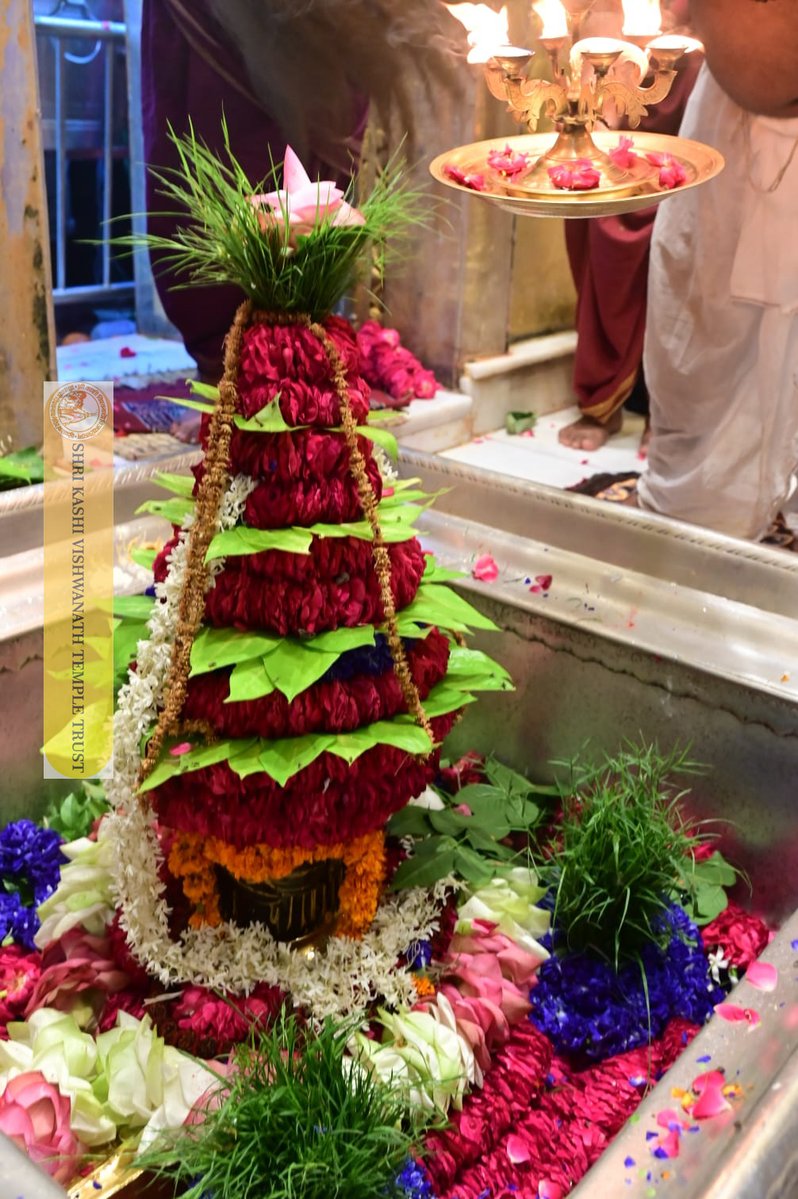 ShriVishwanath's tweet photo. श्री काशी विश्वनाथ जी की मध्यान्ह-भोग आरती I
#kashi #darshan #kashivishwanath #VishwanathDham #blessings https://t.co/6WnLBwD3w5