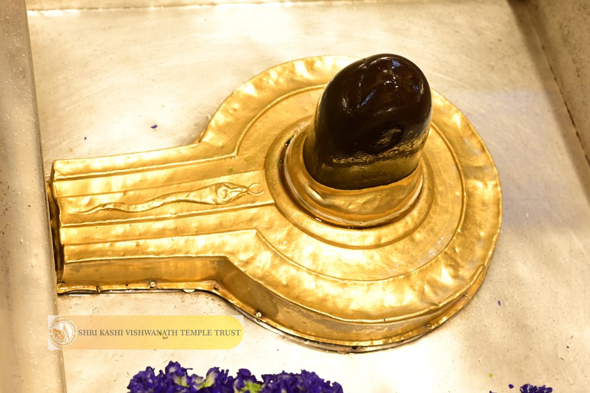 ShriVishwanath's tweet photo. श्री काशी विश्वनाथ जी की मध्यान्ह-भोग आरती I
#kashi #darshan #kashivishwanath #VishwanathDham #blessings https://t.co/6WnLBwD3w5