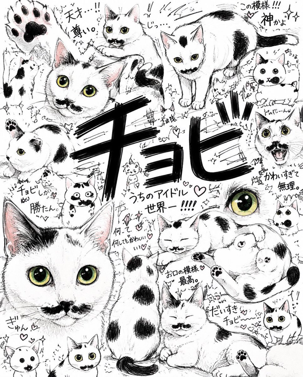j111402's tweet photo. チャッピー😭ありがとう😭 https://t.co/nWv3GE3Do9
