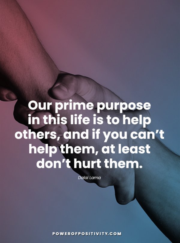 sulfuric__Acid_'s tweet photo. Our prime purpose
in this life is to help
others, 
and if you can't help them, at least don'thurt them...

.....Dalai lama....

#GOOD_AFTERNOON https://t.co/KRE5QIjJh9