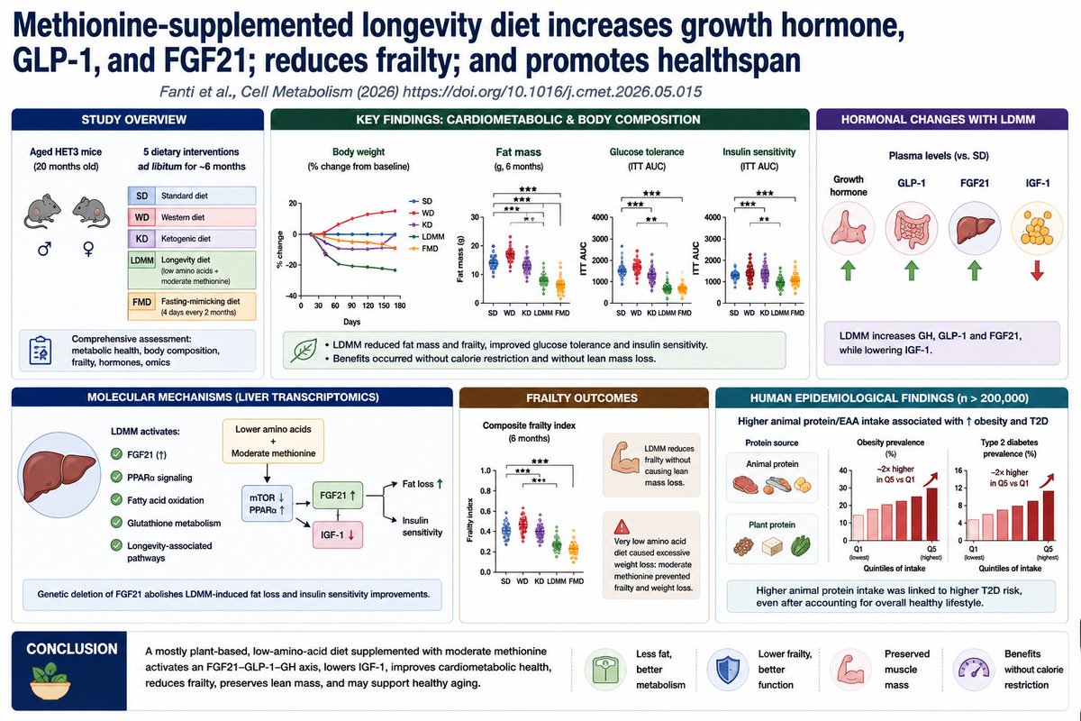 Can a longevity diet improve metabolic health without calorie ...