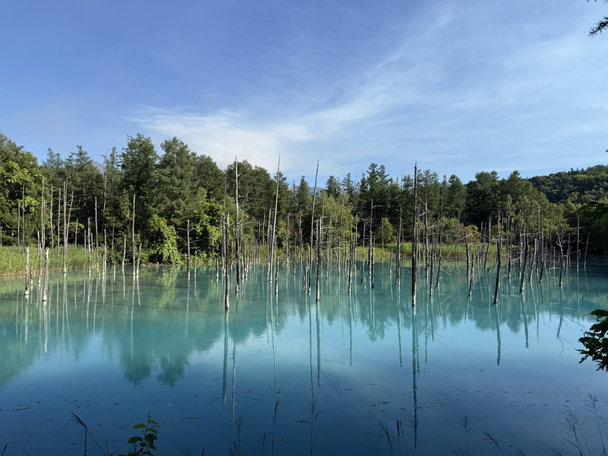 hk2010_'s tweet photo. 青い池。
北海道のどこに行っても周りから聞こえてくる広東語に香港が懐かしくなる😂 https://t.co/XX2i0tJSnZ