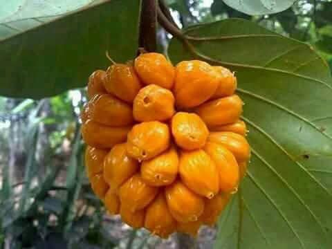 RThankappan5's tweet photo. https://t.co/RL1jzC46G8