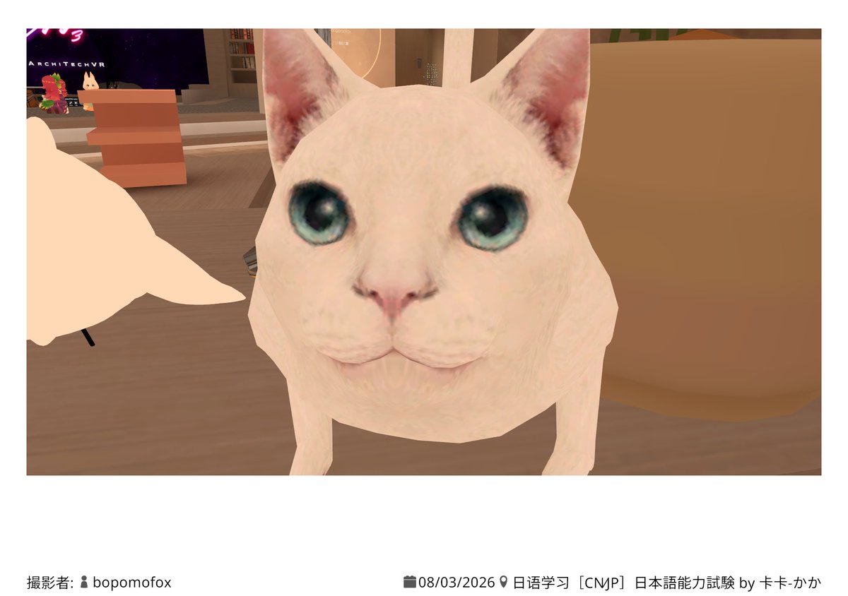 bopomofox2's tweet photo. VRCを始めて今日で大体３週間目！
steamのプレイ時間が118時間で草！
めちゃはまっておりますｗ https://t.co/0jlJtVW28j