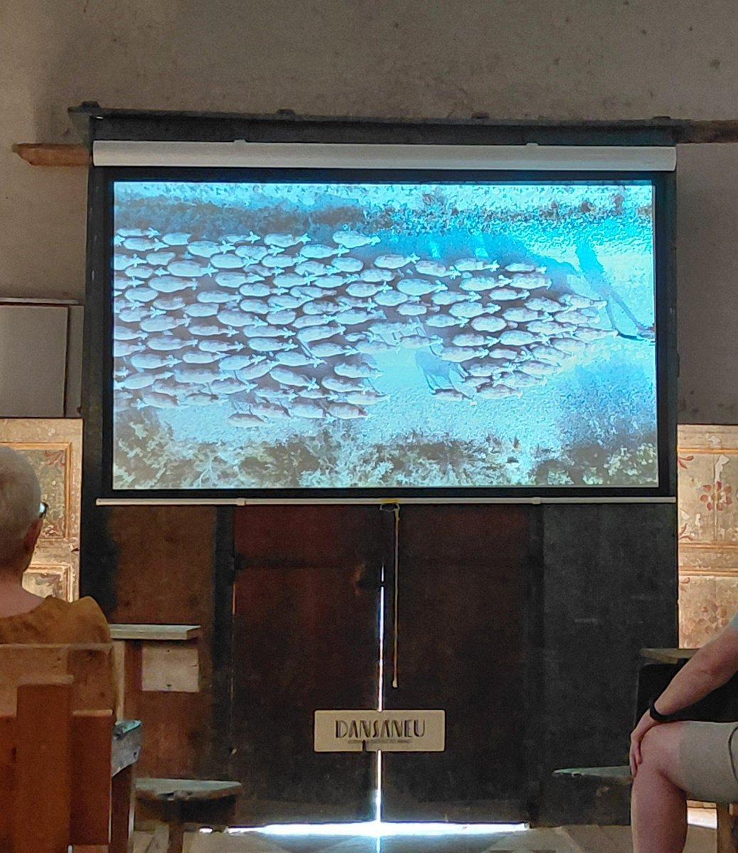 neowiffi's tweet photo. 👨‍👩‍👦 Dissabte vam tenir l'oportunitat d'explorar la dimensió poètica dels arbres en la mostra d'audiovisuals de Materia Bosque VIII a l'esglèsia de Sant Esteve de #Gavàs 👌 #LaGuinguetadÀneu @dansaneu @Vallsdaneu @visitpallars @AmicsPirineu @pallarsdigital https://t.co/0dHsk5rK1t