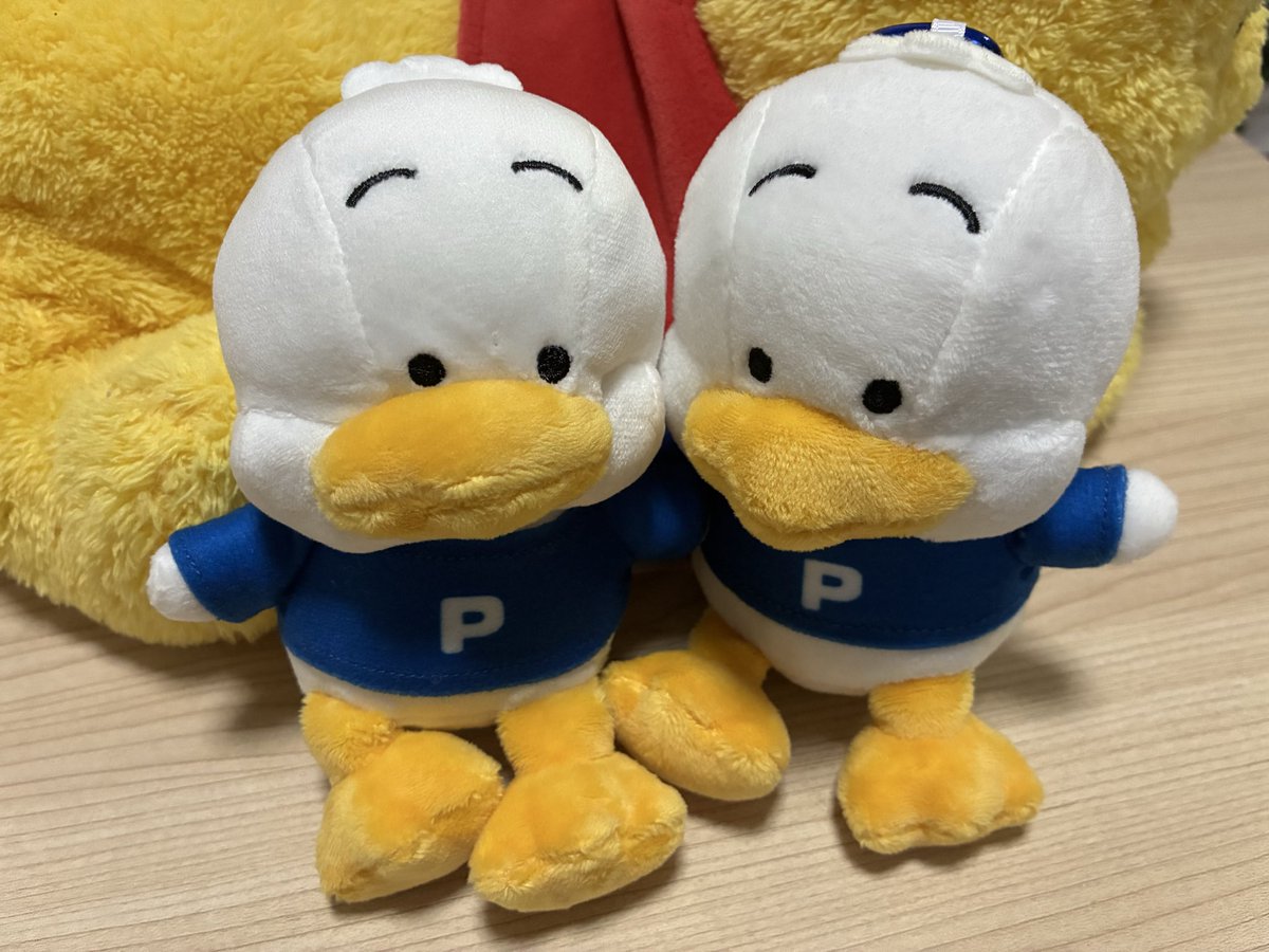 onekoro93's tweet photo. お友達きた！！！お口がへの字でかわいすぎる🥺 https://t.co/jgHLfQptrf