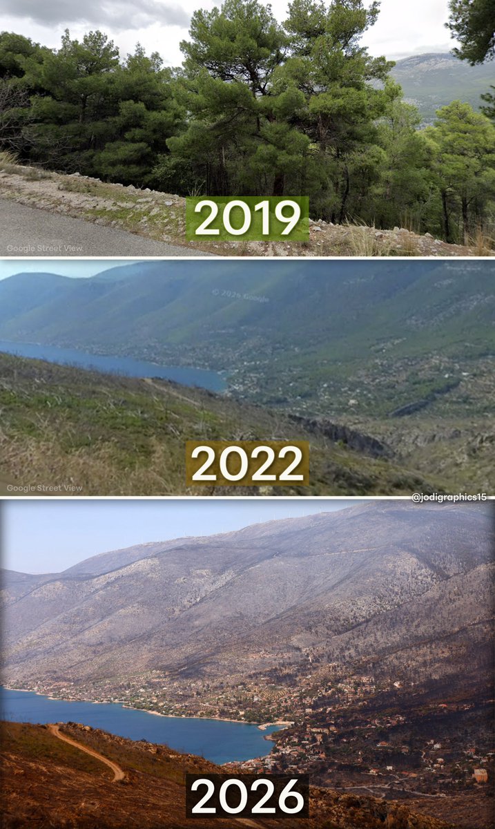 jodigraphics15's tweet photo. 🌳 Μέχρι το 2019 από την επαρχιακή οδό Ψάθας - Βιλίων, δεν μπορούσες καν να δεις το Πόρτο Γερμενό, από το δάσος που υπήρχε στην περιοχή, ενώ μετά βίας έβλεπες το απέναντι βουνό.
🔥 Και μετά ήρθε η - μικρότερη σε έκταση - αλλά εξίσου καταστροφική πυρκαγιά του 2022 στην περιοχή. Τα δέντρα του δάσους κάηκαν και "αποκαλύφθηκε" από το ίδιο ακριβώς σημείο του δρόμου και το Πόρτο Γερμενό και το βουνό.
⚫ Τέσσερα χρόνια μετά... δεν έχει μείνει τίποτα!
#φωτιες #πυρκαγιες #ΠορτοΓερμενο