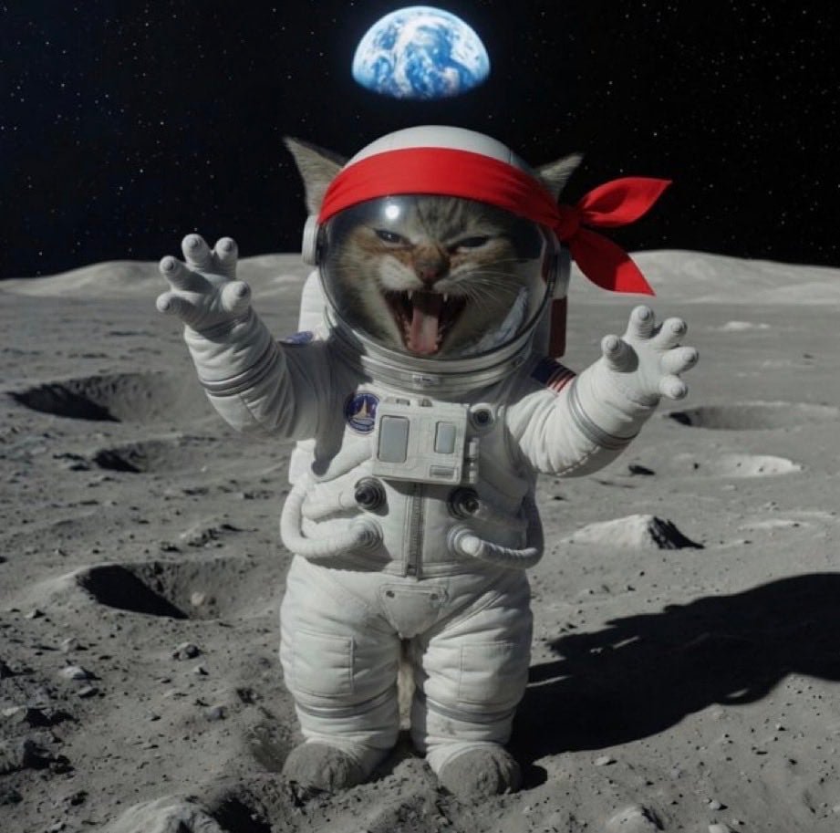 rxonchain's tweet photo. GM Cats 🐾 Good Morning Legends 

Another day another chance let's ROAR 

$RKC 4Life 🤝 https://t.co/im9OiRZJXm