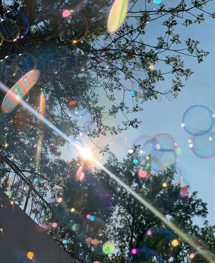 naturaholic's tweet photo. bubbles https://t.co/6FedWn4wmS
