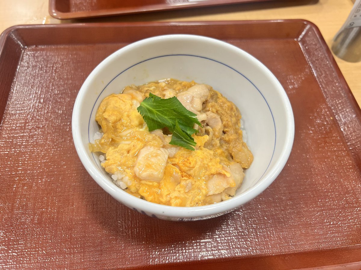 chami_runa's tweet photo. なか卯の親子丼を食べまくる怪異(危険度:低) https://t.co/FMPwqOM8Zr