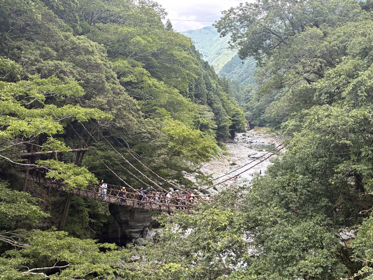 twinkle_mam's tweet photo. 今日は山道を満喫🏍️
UFOロード
かずら橋
しょんべん小僧
大歩危 https://t.co/CPcMI3Dzzf