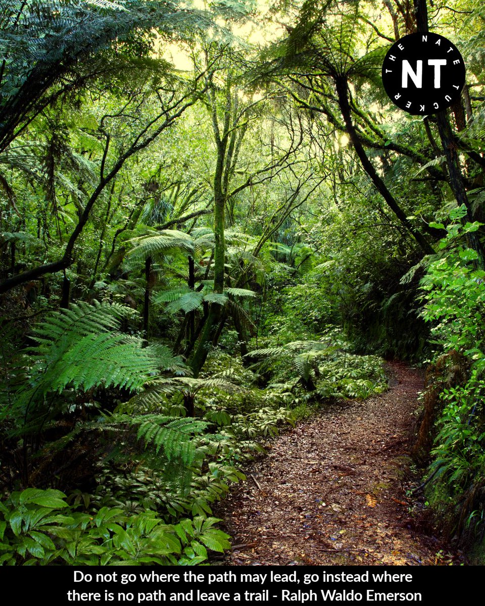 thenatetucker's tweet photo. 🫵🏽 Create memories as you navigate unchartered territories today‼️
💁🏽♂️ Do not go where the path may lead,🏞 go instead where there is no path and leave a trail - Ralph Waldo Emerson 🔥
#YouGotThis 👊🏽
#motivationaldaily #motivation #motivationalquotes https://t.co/OlH9yJeqFo