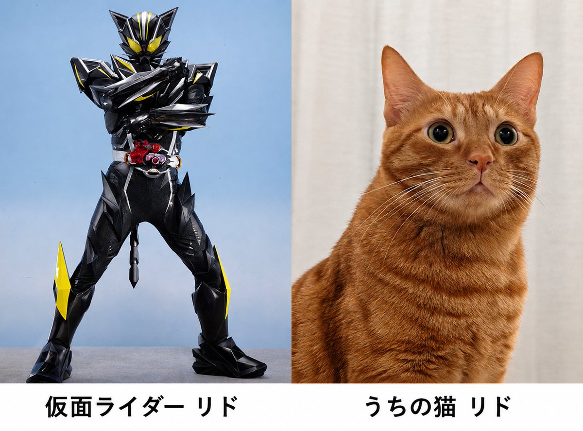 ryogomatsumaru's tweet photo. 新しい仮面ライダー、猫がモチーフの「リド」って名前らしくて運命感じてる

グッズ買います https://t.co/0UU6xpPqTQ