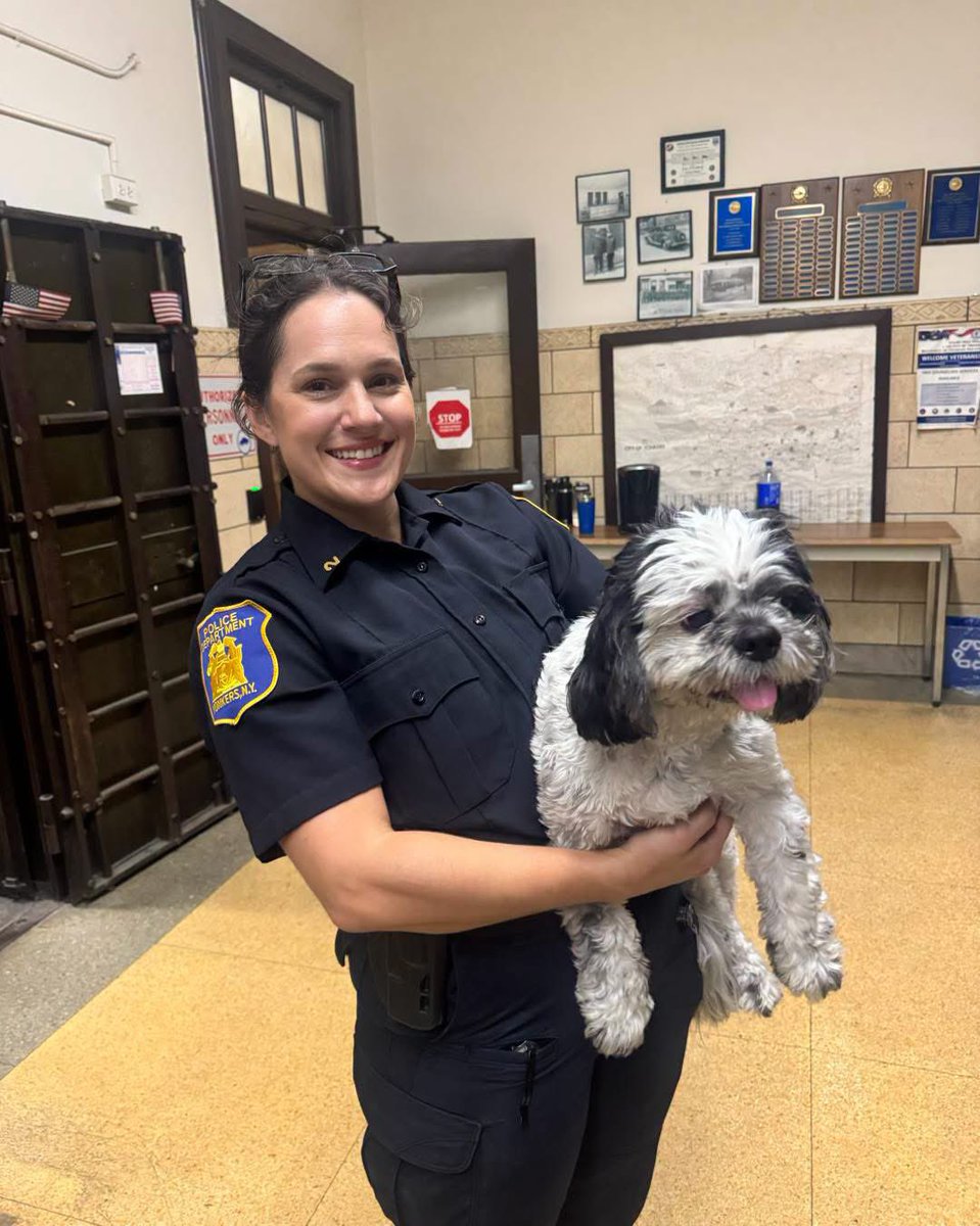 YonkersPD's tweet photo. 🐶FOUND DOG ALERT🐶

Look what our 2nd Precinct Officers found!

If anyone knows this pup's family, please have them contact the Yonkers Animal Shelter at 914-377-6730 to arrange pickup!

 #yonkerspd #yonkersny #foundpets #LOSTDOG #yonkerspolice #yonkers https://t.co/jjVXOVzQKl