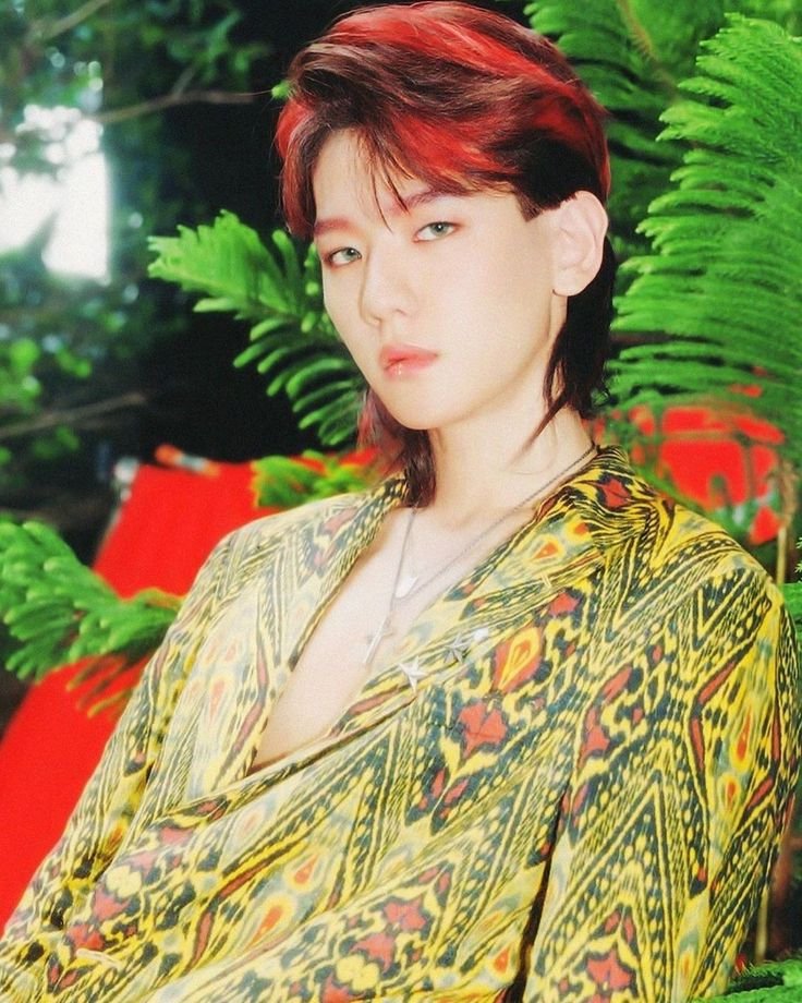 coolmashi's tweet photo. @spring_cherry27 cb lah mereka dengan judul kokobop, ampe gumoh dengernya 😭🥰 jatuh hati banget sama mereka dan pertama biasin baekhyun karna pas cb kokobop rambut dia gemess gitu kaya panjang gitu kebelakang (ganteng banget😭🥰) trus kepincut adeknya nih si piyak https://t.co/VGtIxriXuJ