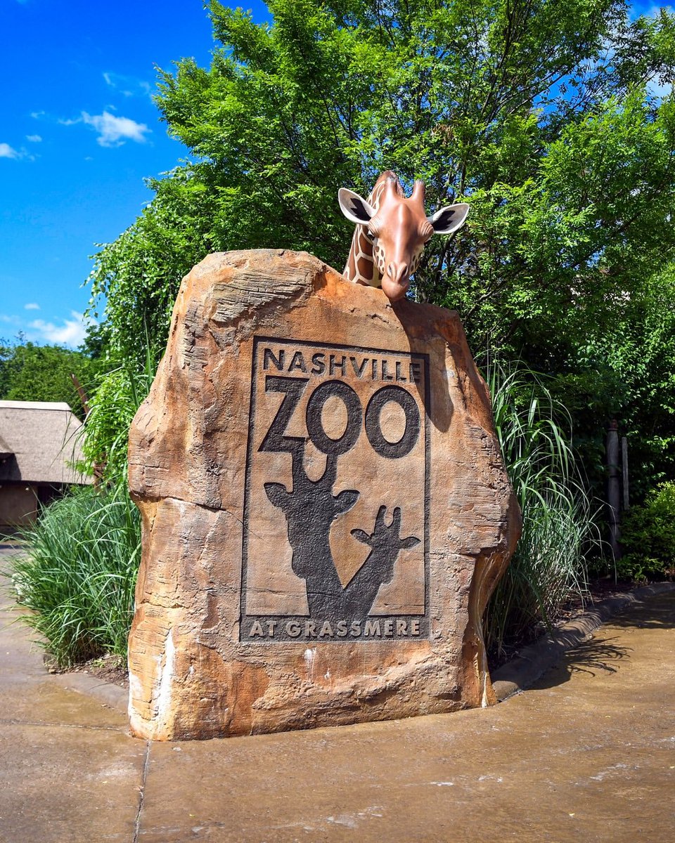 AMAZlNGNATURE's tweet photo. Petition opposing data center next to Nashville Zoo surpasses 580,000 signatures

The campaign against a proposed DC BLOX facility beside the Nashville Zoo has become one of the largest public petitions opposing a data center project https://t.co/R2TB23ZVXH