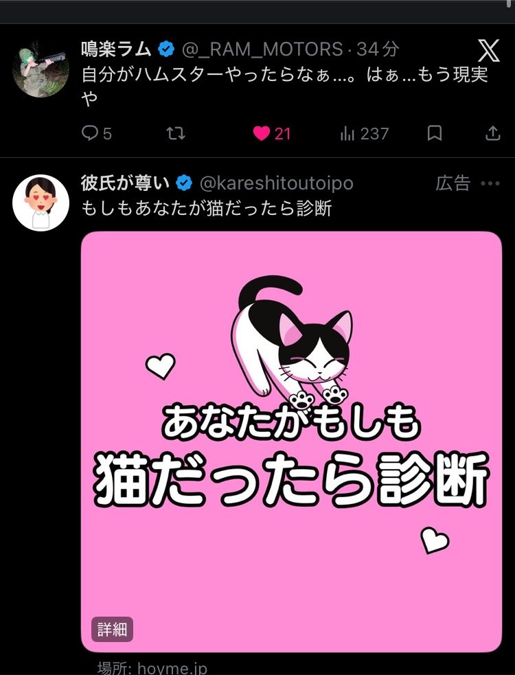 tomomyon__0151's tweet photo. @_RAM_MOTORS もう猫確定ですね https://t.co/vwisLM33C0
