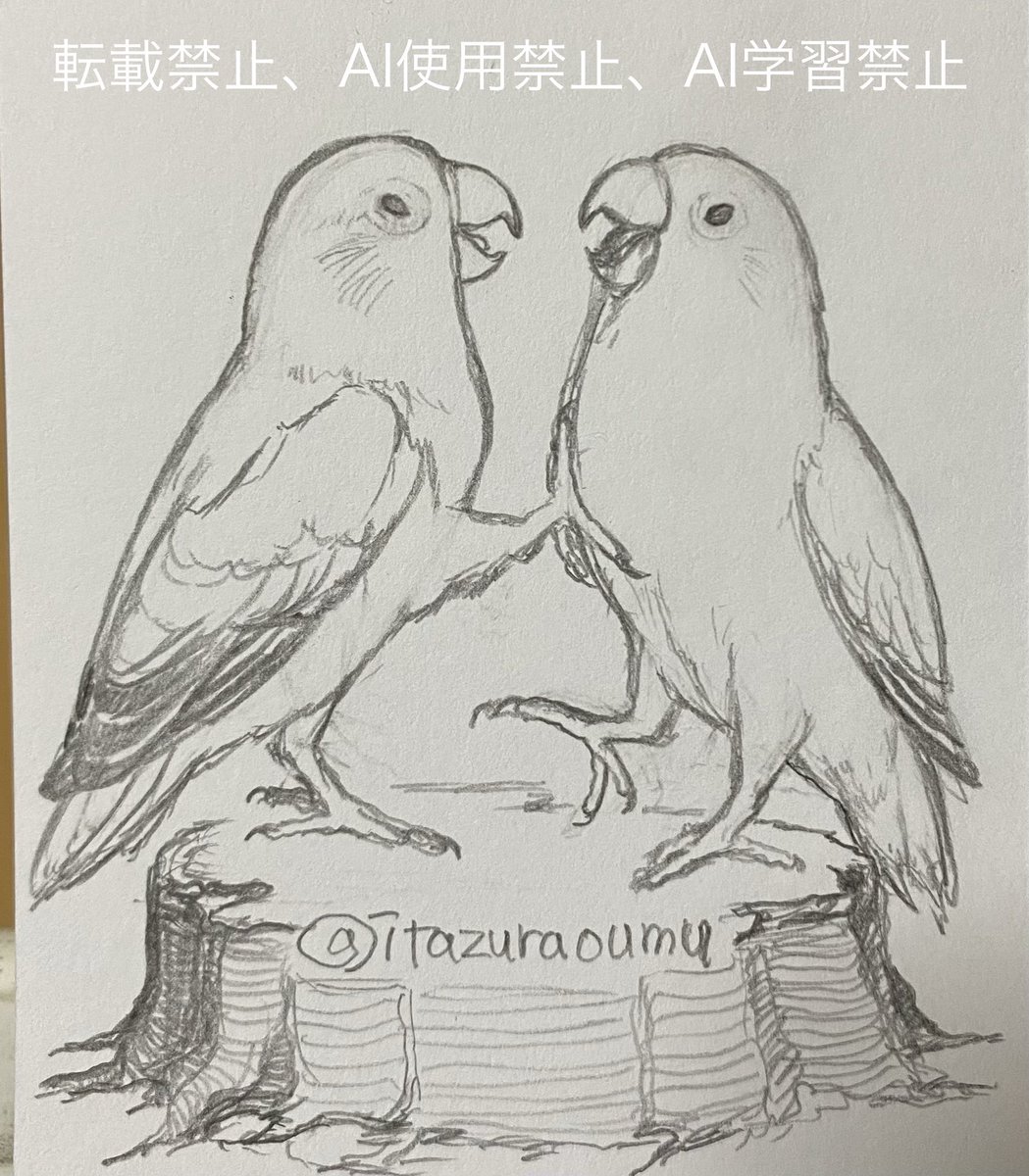 itazuraoumu's tweet photo. ささやかな小鳥のケンカが好きです🐦‍⬛ https://t.co/B7TtL0q3ad