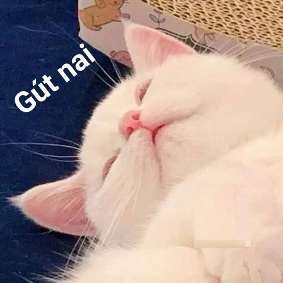 thangbomdatviet's tweet photo. Chúc cả nhà ngủ ngon nhé
Mai chiến tiếp https://t.co/wqY68pd9qz