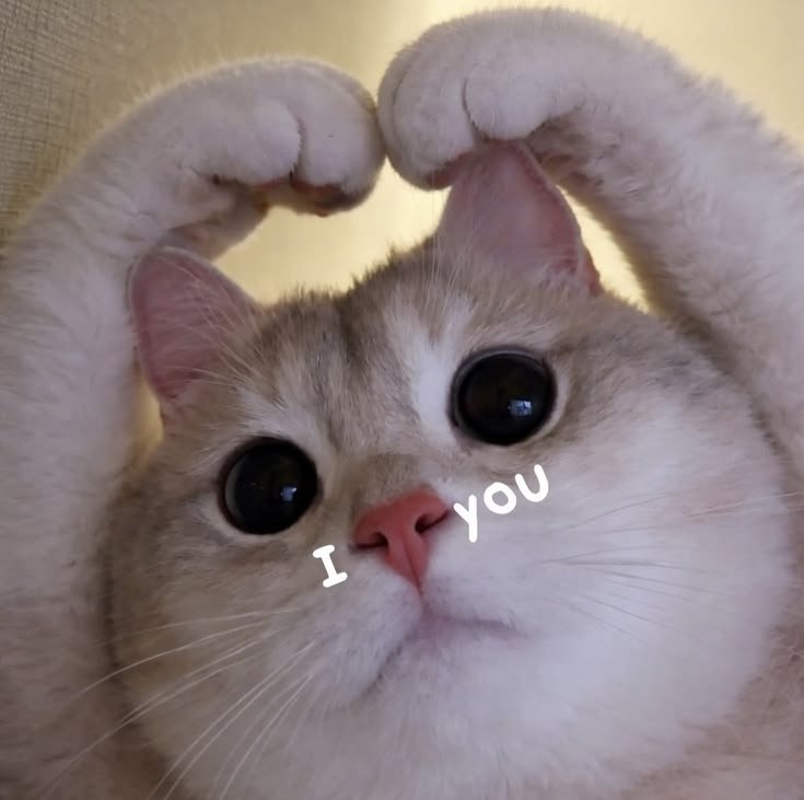 dearrrak's tweet photo. @pavelphoom you did so well, @pavelphoom

you did amazing in bringing this role to life and giving every scene the emotions it needed. after putting so much of yourself into this, i hope you get the rest you deserve. take care of yourself and be proud of how far you’ve come.

 #pavelphoom https://t.co/jopaX5KB2k
