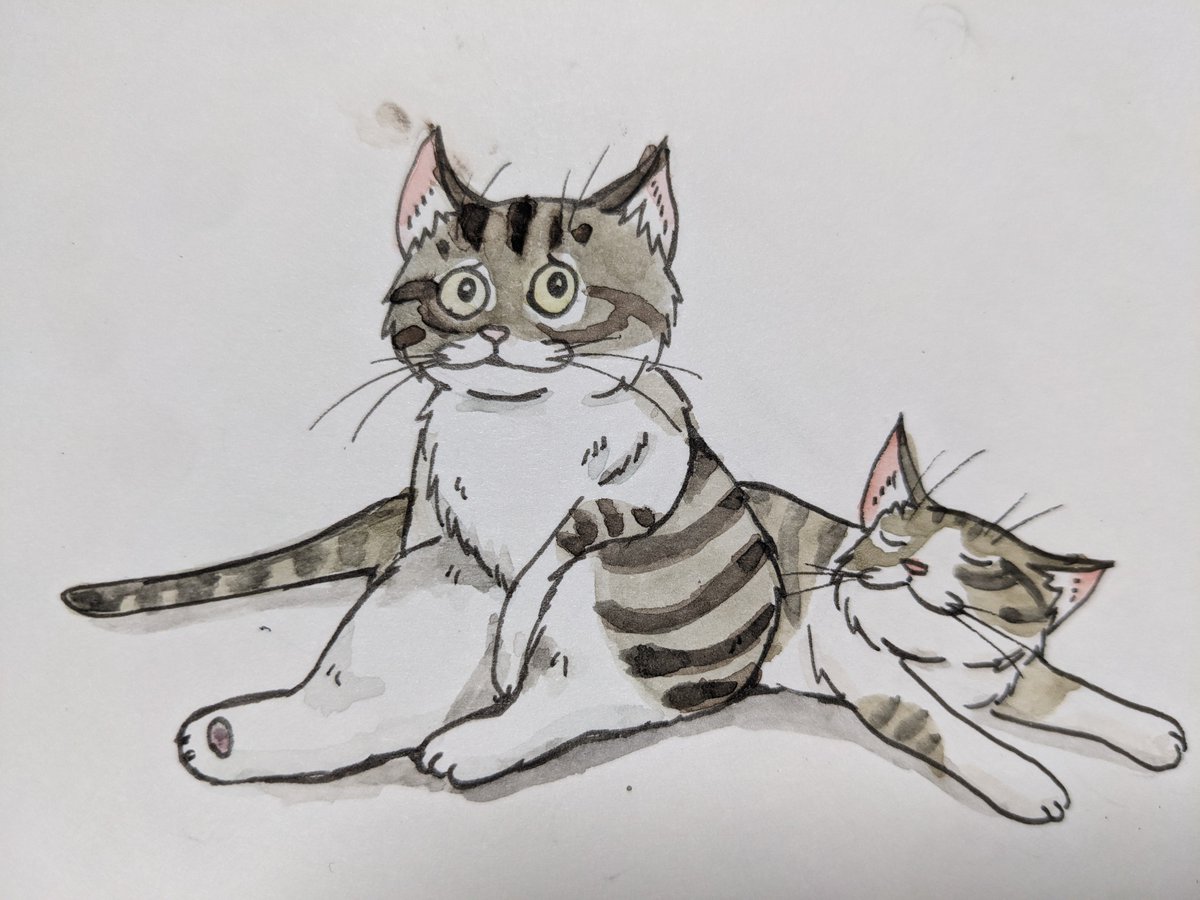 paseri021's tweet photo. It's hot.
Is everyone OK?   
 ＃pasericat 🌞 https://t.co/D4T2XQiYdJ