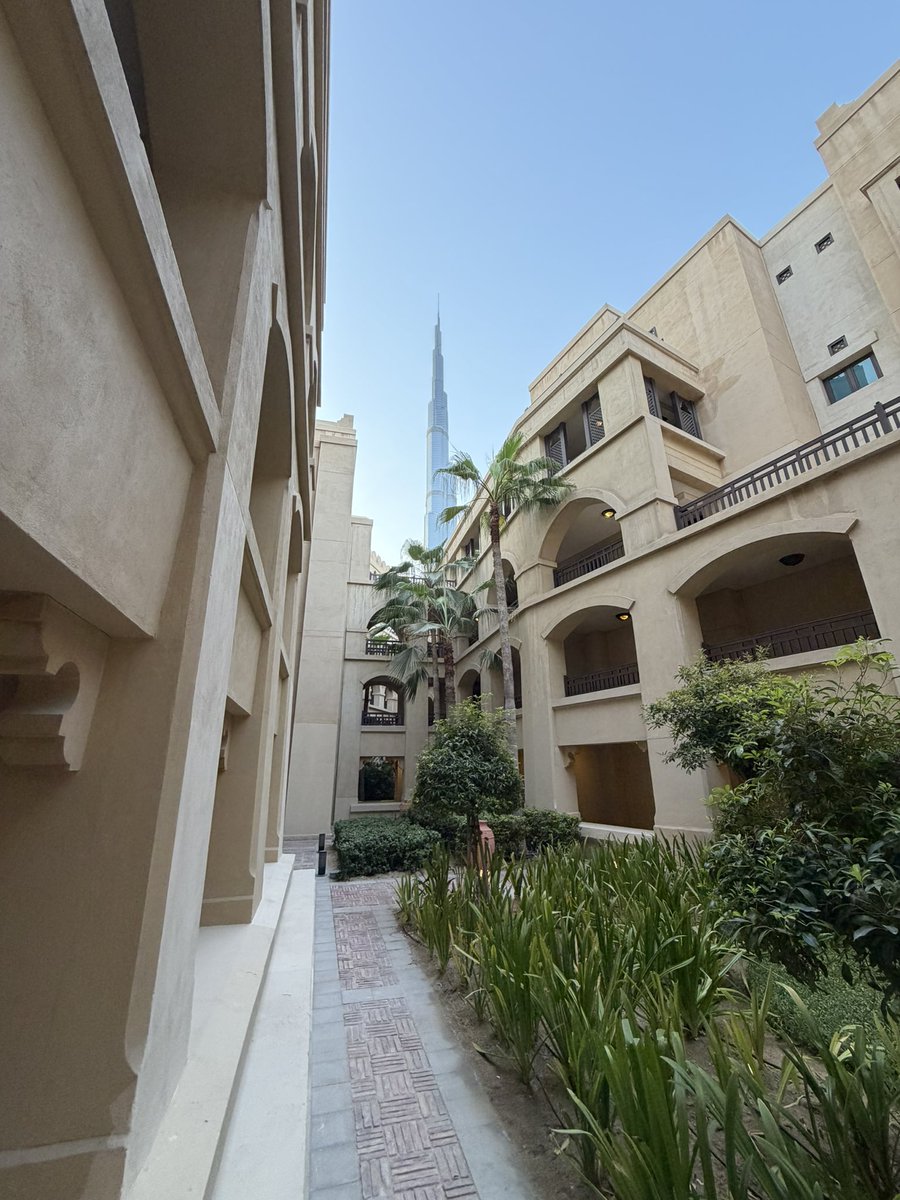 D15FiX's tweet photo. It’s crazy to think this is my back yard. 
In the middle of Downtown Dubai, to hear nothing but birds chirping is pretty special https://t.co/95mu1sriC3