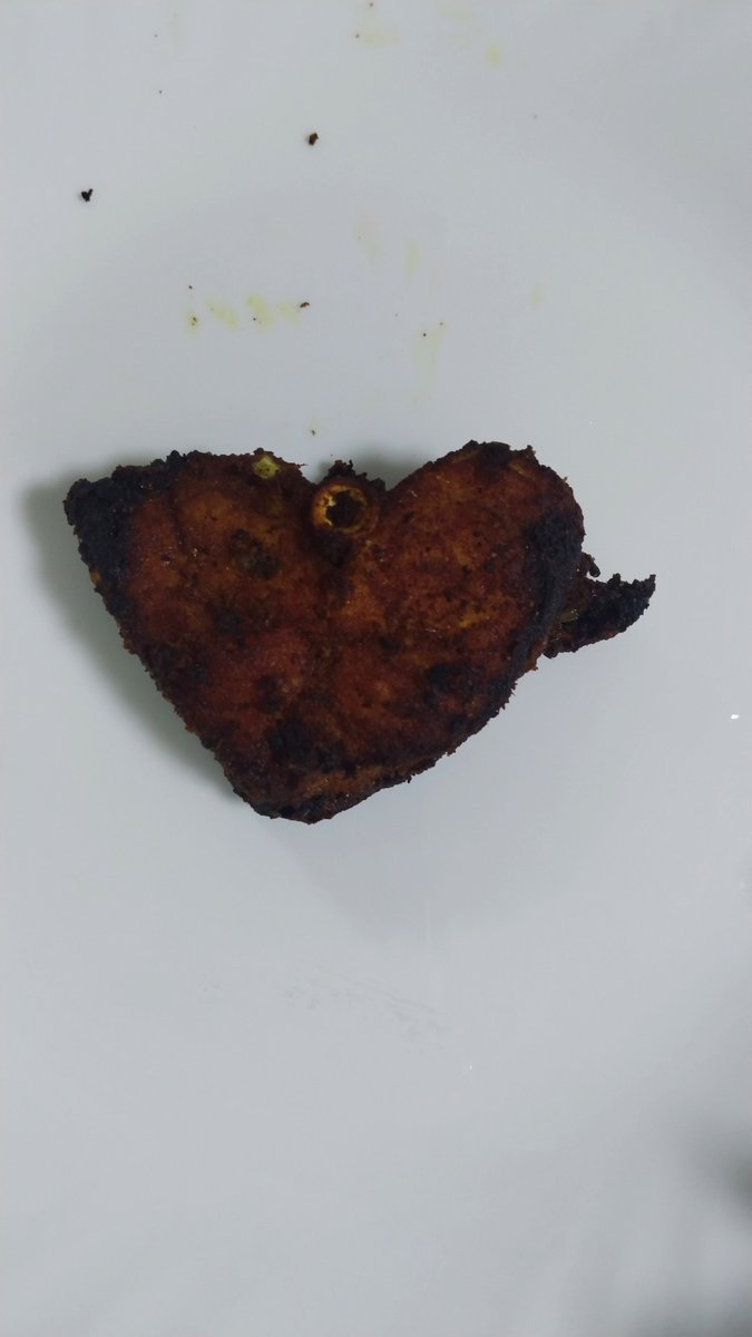 Batmowaa's tweet photo. This universe is trying to say something to me https://t.co/Tv1l8x9D0E