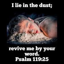 scholarshipsast's tweet photo. Quickening Of The HolySpirit
Bible was meant to be prayed through, meditated on & lived out. The key is the quickening of the Holy Spirit. But if the Spirit of him that raised up Jesus from the dead dwell in U,he shall also quicken ur mortal bodies by his Spirit -Romans 8:11 #UCB https://t.co/COmb2hE6QQ