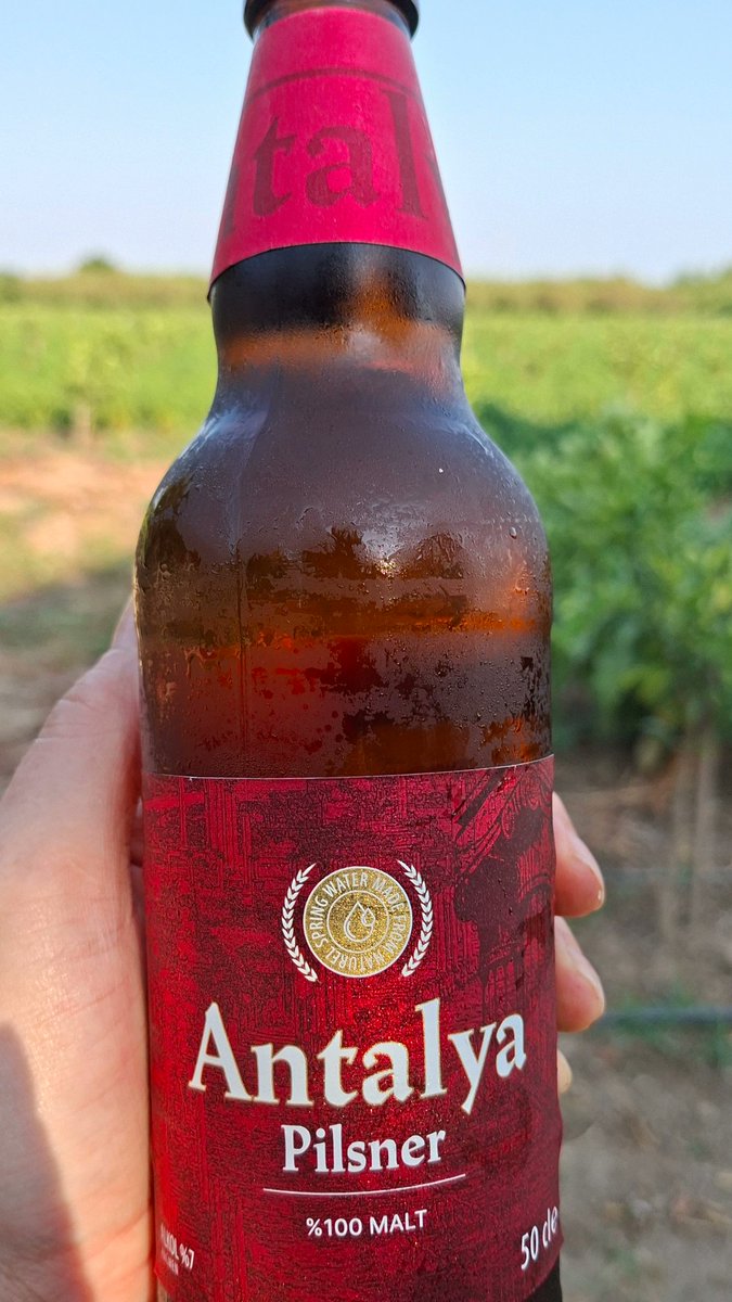 elllaaaa33's tweet photo. Hediyenin kralı #Antalya🍻☀️ https://t.co/NCMIlRmsOA