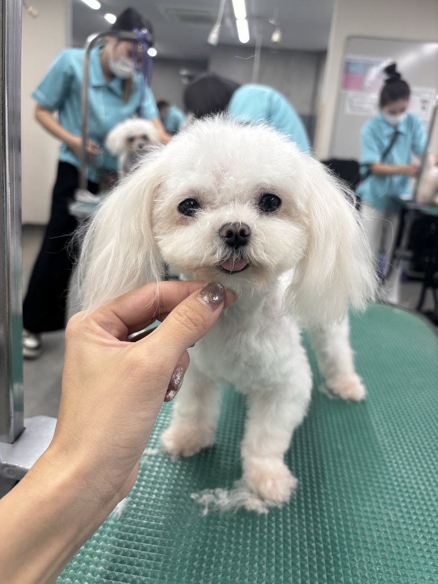 TKBK2's tweet photo. 最近のマル https://t.co/cBIWzDHdvS
