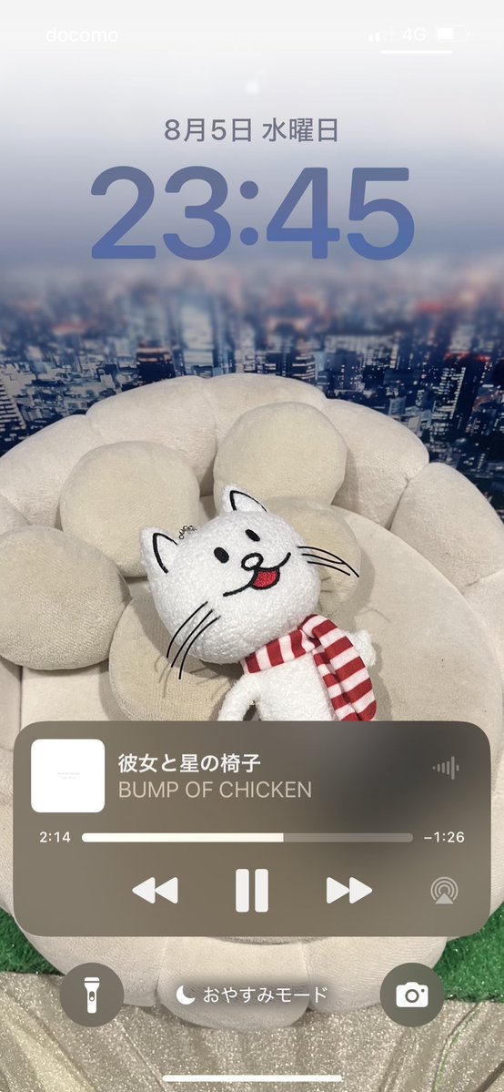 Lilly_28_01's tweet photo. かわいーのにした🐈‍⬛ https://t.co/kBAwFpyGbr