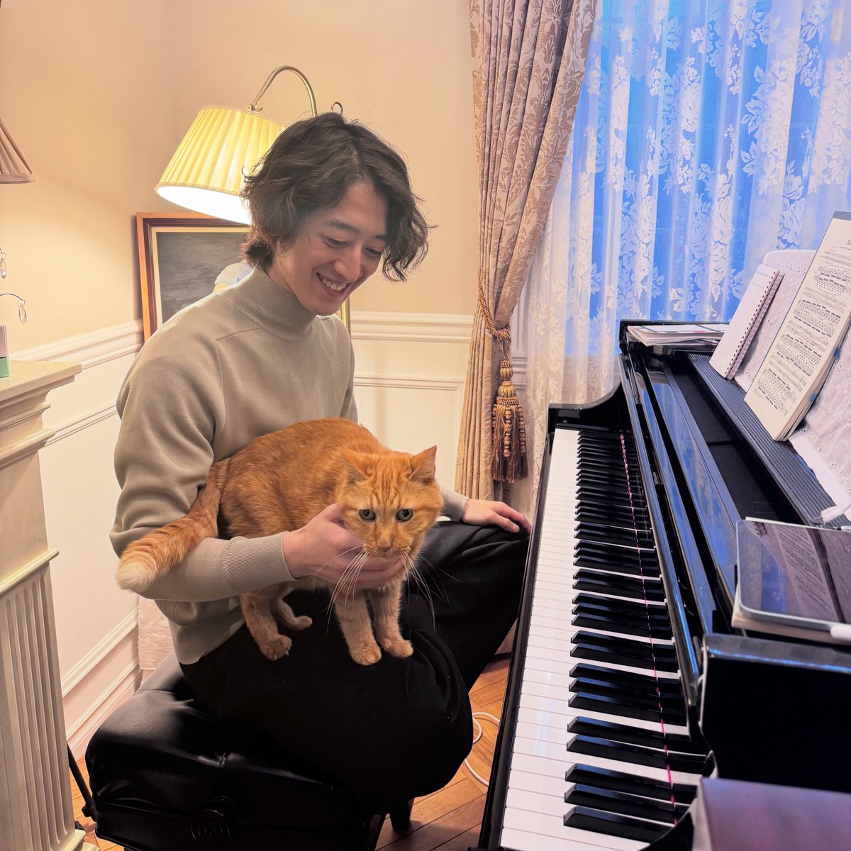 880hz's tweet photo. 僕の愛する大猫が旅立ちました。18歳3ヶ月でした。実家を出てからの5年ほどはたまにしか会えなかった。向こうからしたら「昔はよく居た、なんかたまに帰ってくる奴」くらいの認識だったかもしれない。でも帰るたびに僕らは友情を確かめあって、じゃれ合って、疲れたらソファで寝転んだ。臆病なくせに、よくその大きなお腹を何の恥じらいもなく見せてくれた。ふてぶてしく走り回る姿が愛おしくて、「大猫のワルツ」という曲を書きました。段々と元気がなくなっていく姿を見てある程度の覚悟はしていたけれど、まだ心が追いつかない。2週間後に僕が日本に帰るまで何とか生きてくれていたら、と願っていたけど、叶わなかった。でも最期は妹と母(と父)がずっとそばにいてくれたのは本当に良かった。ぷりん、我が家にたくさんの幸せをありがとう。どうか安らかに💐