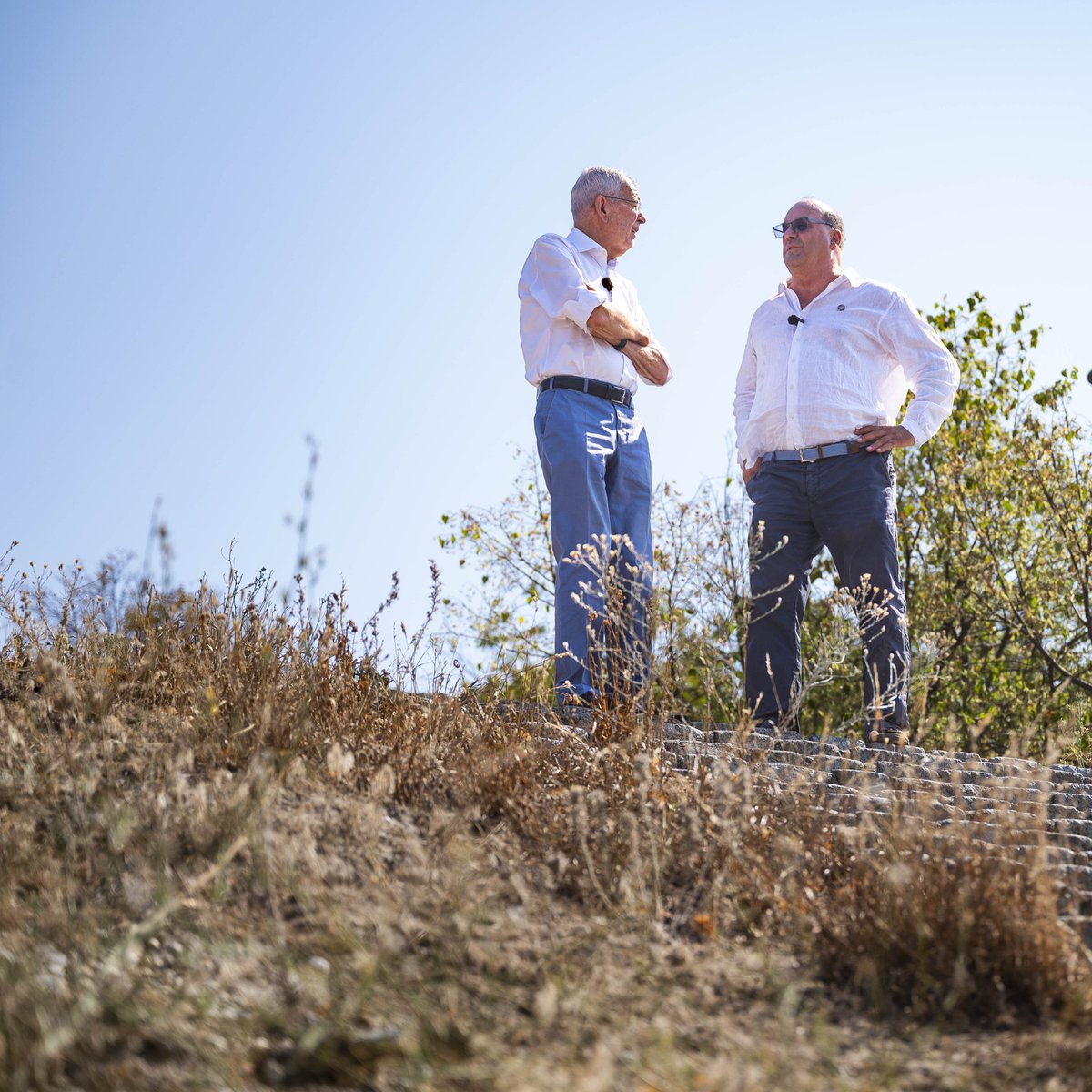 vanderbellen's tweet photo. Sagen wir's, wie es ist: Es ist verdammt heiß. 

Wir sehen hier versteppte Wiesen, wir wissen wie tief der Pegelstand der Donau ist und wie es um die Grundwasserstände in Österreich steht. 1⃣ https://t.co/5Zmn8xSKRK