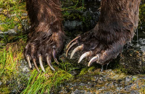 dougterry67's tweet photo. @WigglyAir yep https://t.co/ewKSDRlFc7