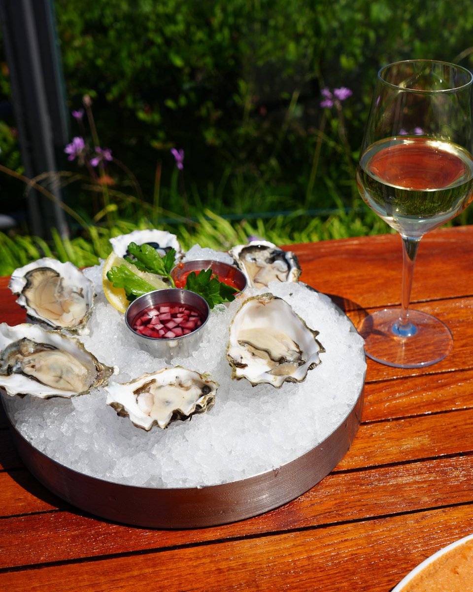 ChartHouseRest's tweet photo. Consider this your official excuse to order oysters today. 🦪✨

It’s National Oyster Day, after all! https://t.co/t71wrS4H2N