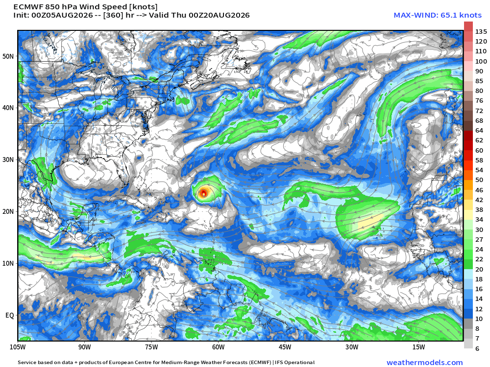 RyanWeather's tweet photo. Hurricane season isn't cancelled after all.  Flagship European weather model predicting a tropical wave forming into TS/hurricane down the road in 10-12 days.  Favorable sub-seasonal (MJO) environment conditions can outweigh huge negative influence of El Niño.  Nothing imminent. https://t.co/hp2YvszyAq