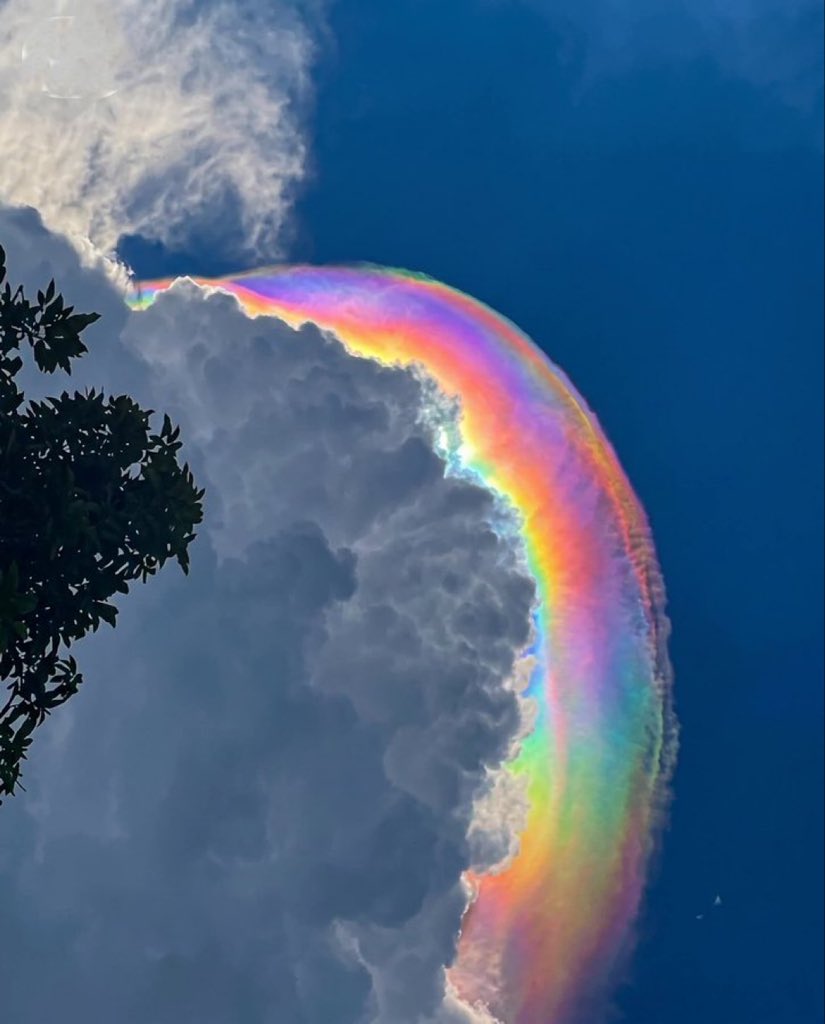 NightSkyToday's tweet photo. A Glowing Rainbow growing straight out of a towering cloud. ✨ 

This amazing phenomenon is called cloud iridescence.

When sunlight interacts with small ice crystals or water drops near the cloud's edge, it bends the light into a beautiful rainbow that wraps around its contours. https://t.co/LlwK98AIFL