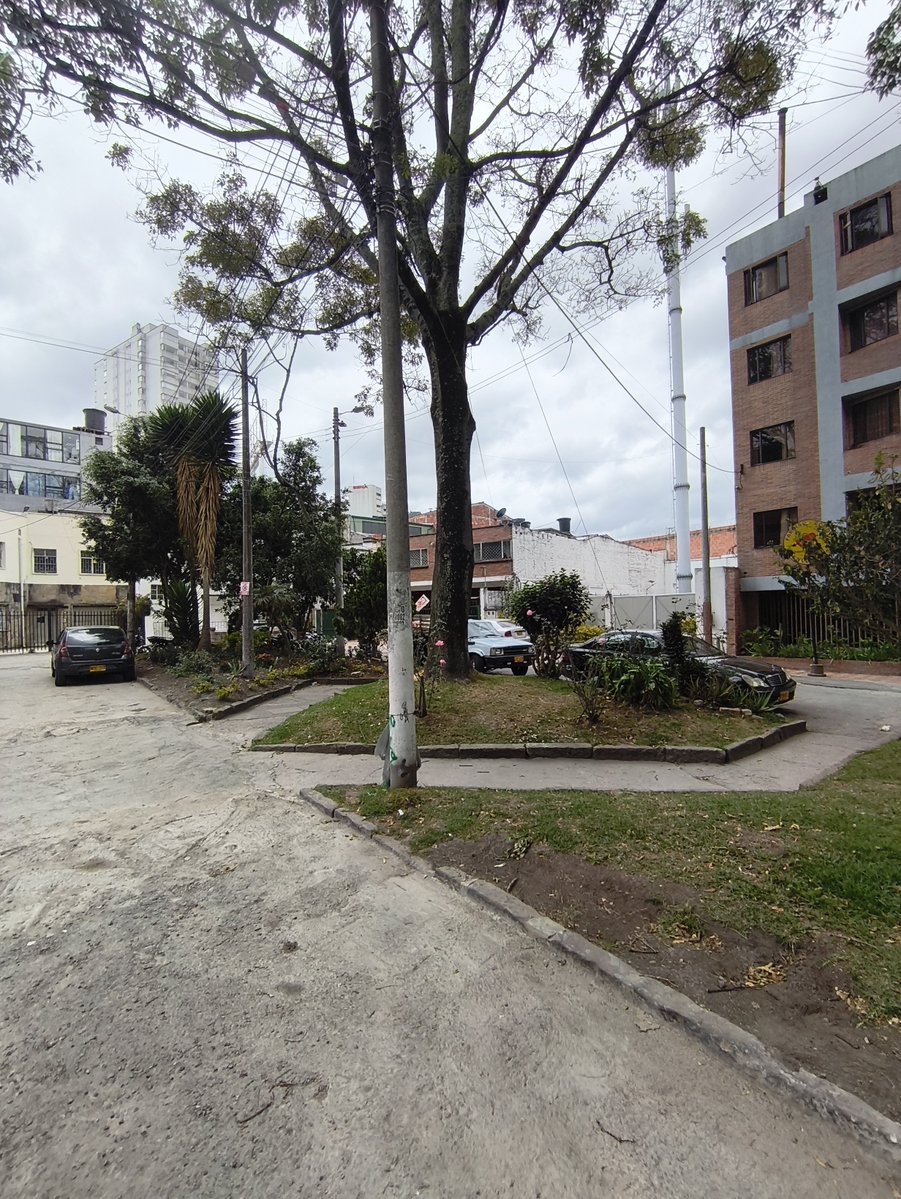 RAULLEALB's tweet photo. Quien me ayuda a arreglar esta zona verde cll 67 con cra 14 a - bis localidad @barriosunidos necesito plantas y árboles! 
@MiEspacioesBog https://t.co/u43AmWDp3L