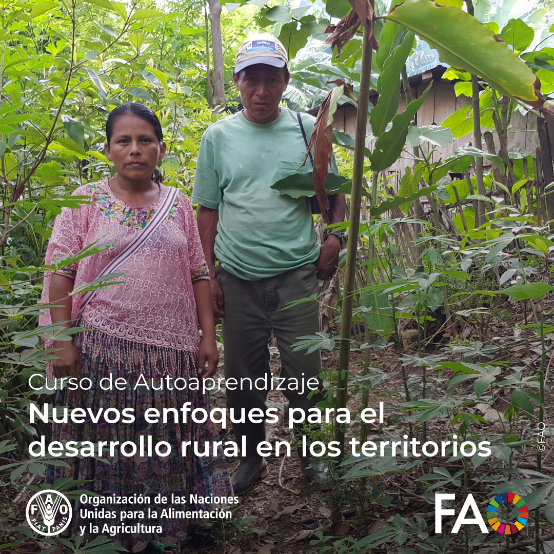 FAOAmericas tweet picture