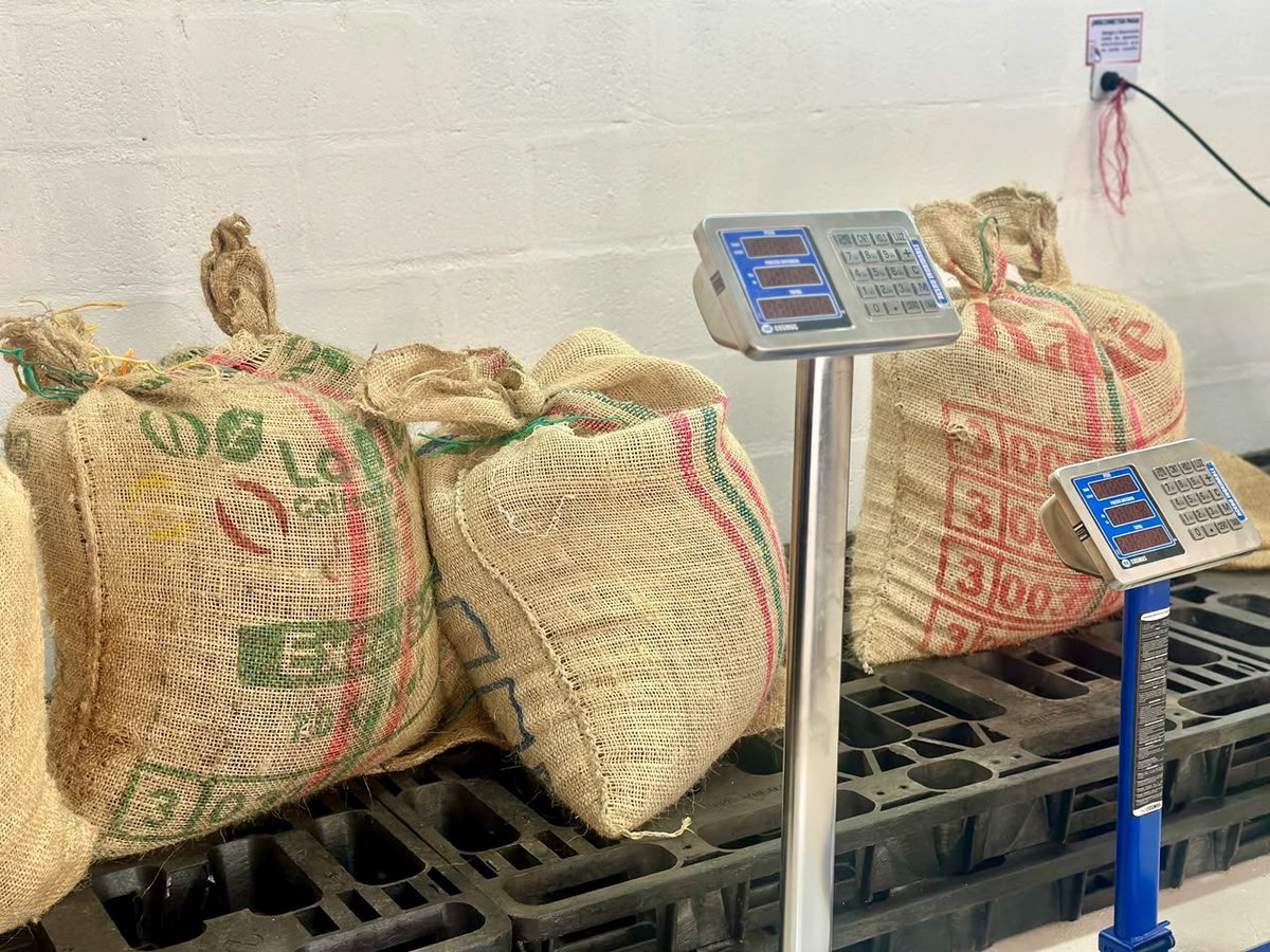 MisionONUCol's tweet photo. En #Conejo, La Guajira, acompañamos a firmantes de paz y @WFP_Colombia en la inauguración del centro de acopio de la cooperativa COOMPAZCOL, un paso que fortalece la comercialización de café y cacao y la sostenibilidad de la reincorporación. 🧵 https://t.co/pdJg2Smklq