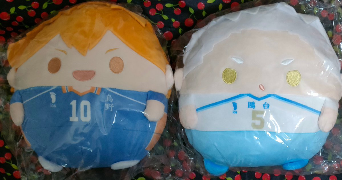 nabo0911_02's tweet photo. 【交換譲渡】ハイキュー くじメイト ぬいくじ2
求：B賞 C賞 E賞 黒尾 各1＞定価+送料
譲：画像参照
郵送もしくは仙台駅前周辺でのお手渡し。
画像2-3は前弾。
交換優先。譲渡は交換決まり次第。
C賞はB賞もしくはC賞との交換優先。
送料差額あるためB賞と交換頂ける場合当方2：1でも可。 https://t.co/kOmvIUNFnQ