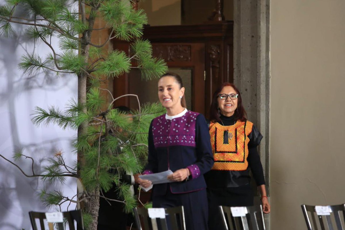 Letamaya's tweet photo. Durante la #MañaneraDelPueblo de la presidenta @Claudiashein presentamos la Jornada Nacional de Reforestación 2026, que se llevará a cabo el próximo domingo 9 de agosto, donde participarán más de 235 mil personas a lo largo del país. En esta jornada se sembrarán plantas producidas por las y los agricultores del programa #SembrandoVida.

Cuidar a la naturaleza también es construir #Bienestar de la mano de las comunidades y pueblos de México.
