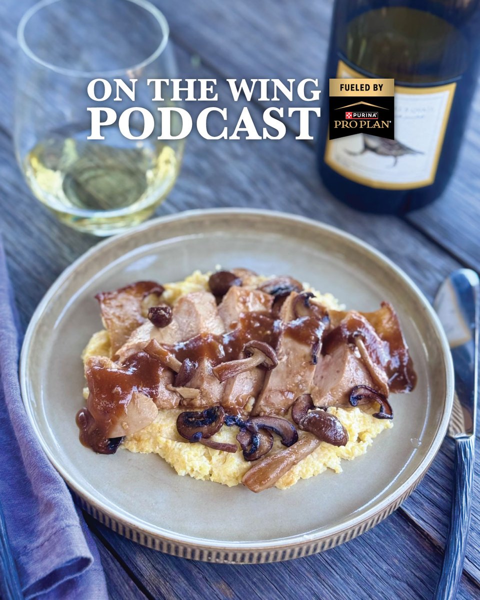quail4ever's tweet photo. Discover how great wild game meals become unforgettable when paired with exceptional wine and upland traditions.

Passalacqua Winery winemaker Jessica Boone breaks down two new Quail Forever collaboration wines, a balanced Russian River Valley Chardonnay and a vibrant Dry Creek Valley Zinfandel, explaining how each complements upland birds without overpowering their natural flavor. Listeners will also hear creative wild game recipes, including pulled pheasant barbecue pizza and a French-inspired pheasant ragout served over creamy polenta, along with practical cooking tips for making the most of every bird in the freezer.

Listen now at the link below or wherever you get your podcasts.
https://t.co/mHZMoP5Vgo

On the Wing Podcast is proudly fueled by @ProPlan