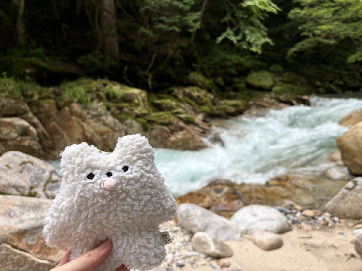 PEROBEAR_'s tweet photo. 自然とカフェ

#ペロベア #ぬい撮り https://t.co/KqY3O2fOVp