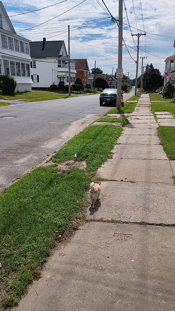 spencercastgbe's tweet photo. I live around here https://t.co/8NdMo4j4k8