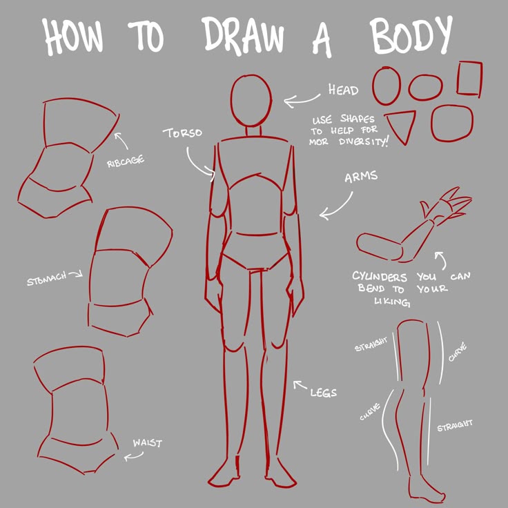 magicfonts's tweet photo. How draw a body easily! https://t.co/fSfcLJaWeQ